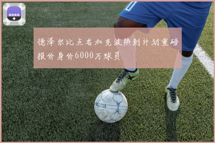 德泽尔比点名加克波热刺计划重磅报价身价6000万球员