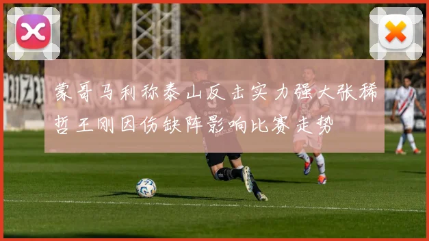蒙哥马利称泰山反击实力强大张稀哲王刚因伤缺阵影响比赛走势